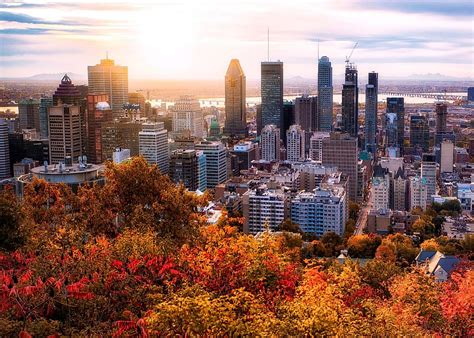 mercan capital montreal|Mercan Capital .